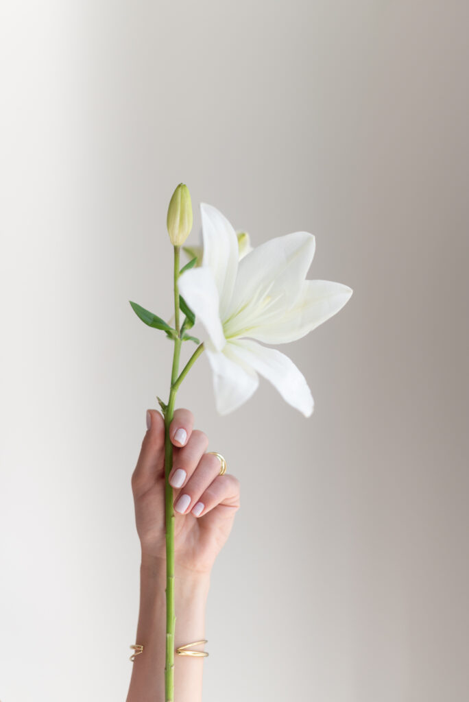 Shooting- Direccion de Arte- - Branding- Diseño de marcas- Serene Soul Studio