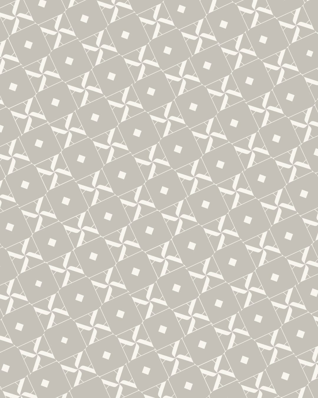 Identidad Ana Perez5