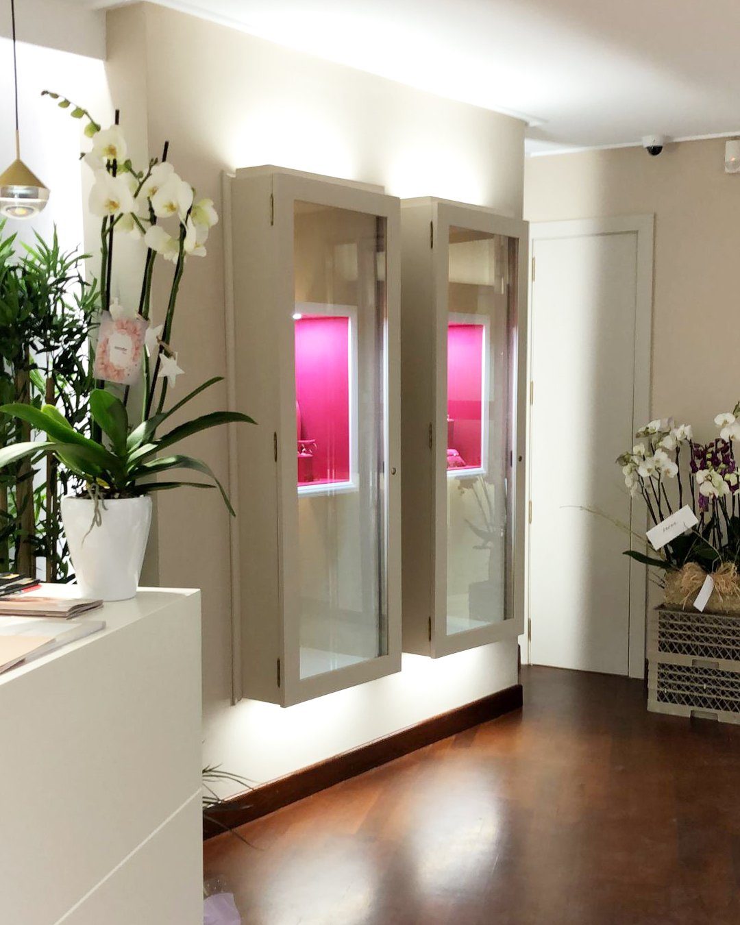 Proyecto Eternia tienda4